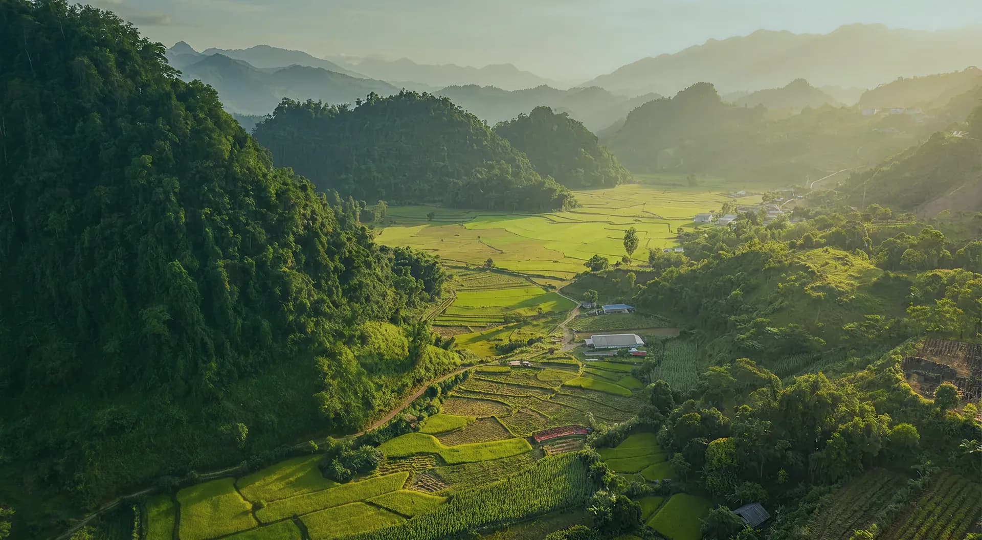 Sự ngọt lành bắt đầu từ